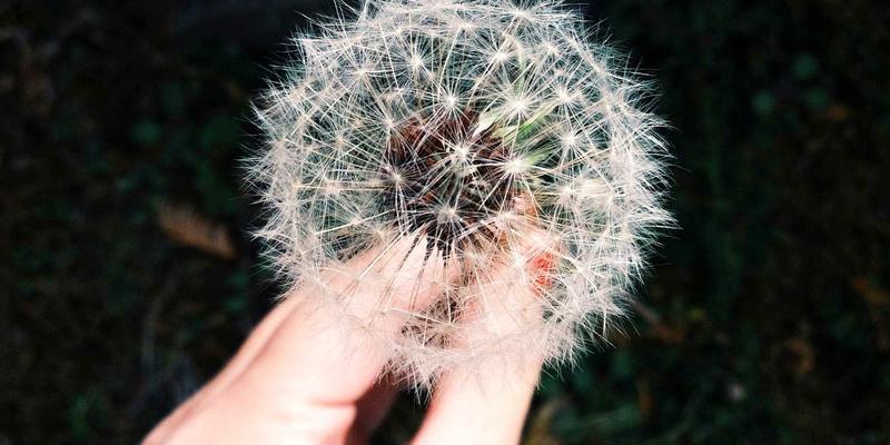 色片视频下载 架构实拍图