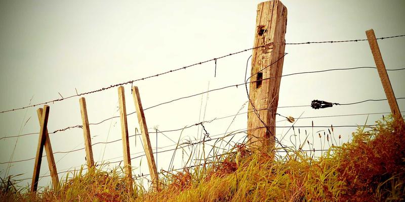 成年人av在线播放 架构实拍图