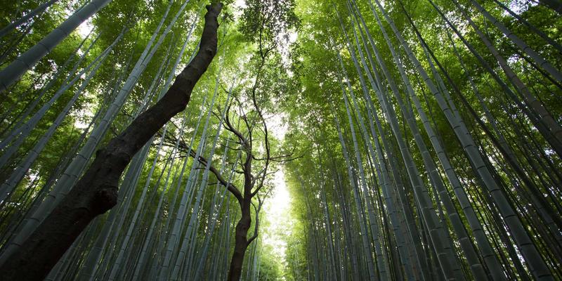 三浦惠理子人妻 架构实拍图