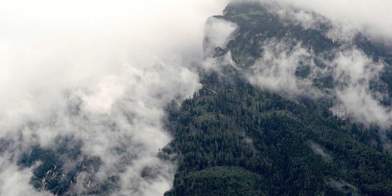 成人游戏18禁 架构实拍图